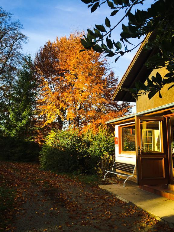 Le Chalet Luttenbach-près-Munster Esterno foto