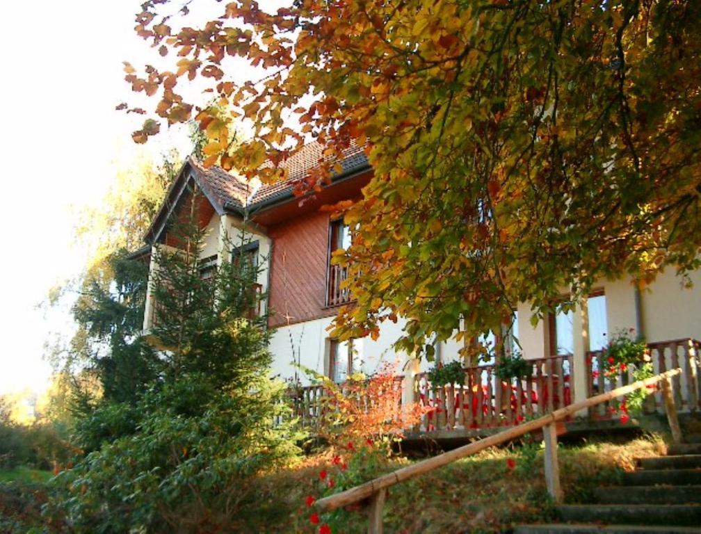 Le Chalet Luttenbach-près-Munster Esterno foto