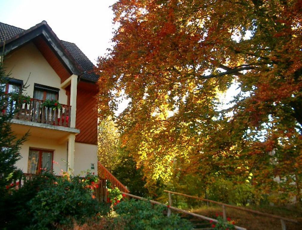 Le Chalet Luttenbach-près-Munster Esterno foto