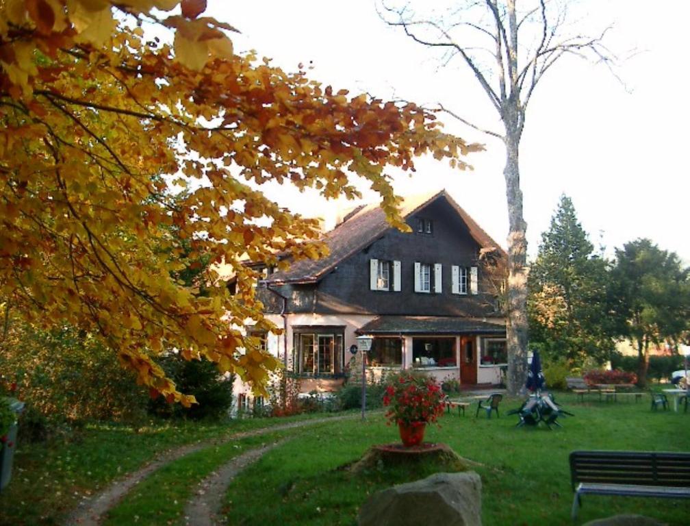 Le Chalet Luttenbach-près-Munster Esterno foto