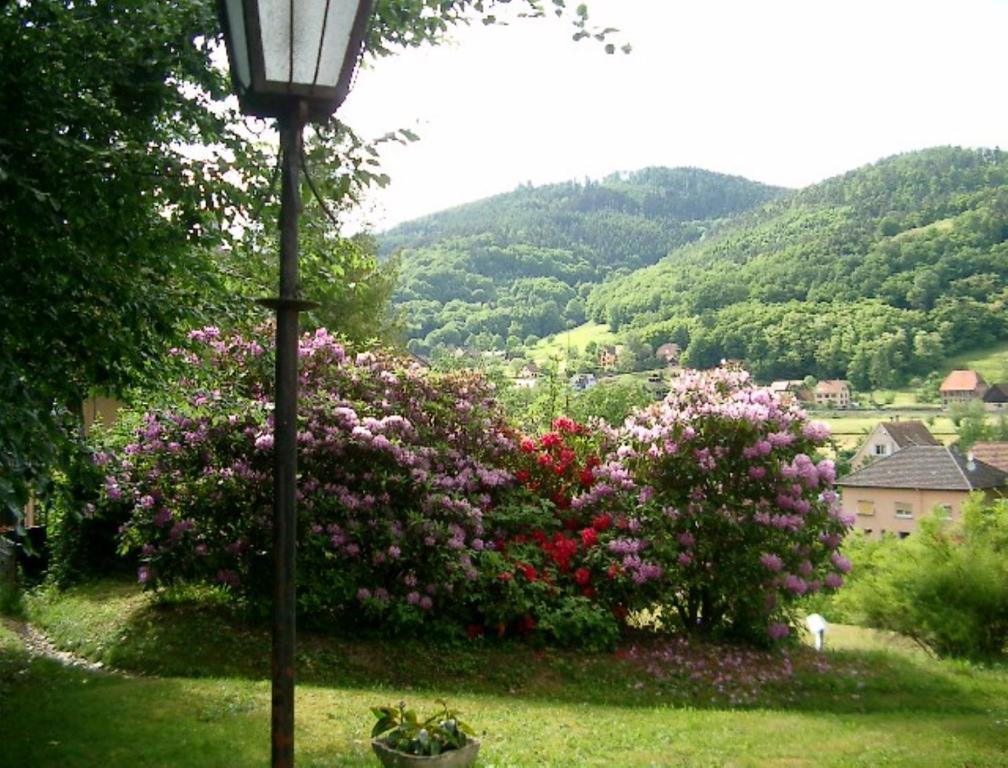 Le Chalet Luttenbach-près-Munster Esterno foto